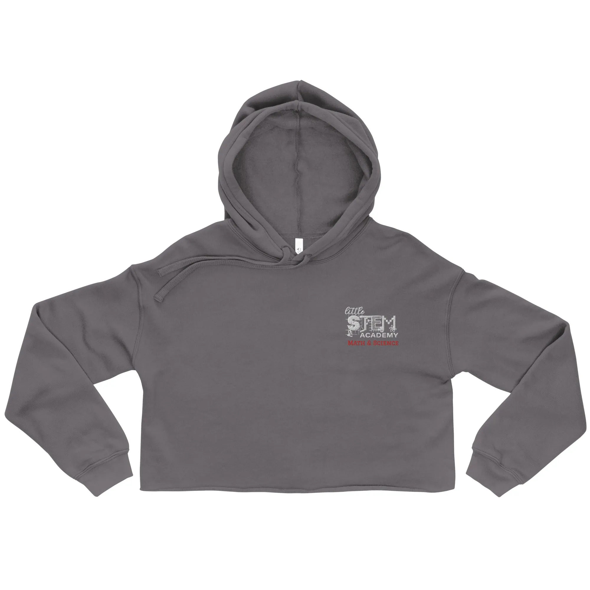 LITTLE STEM ACADEMY Crop Hoodie