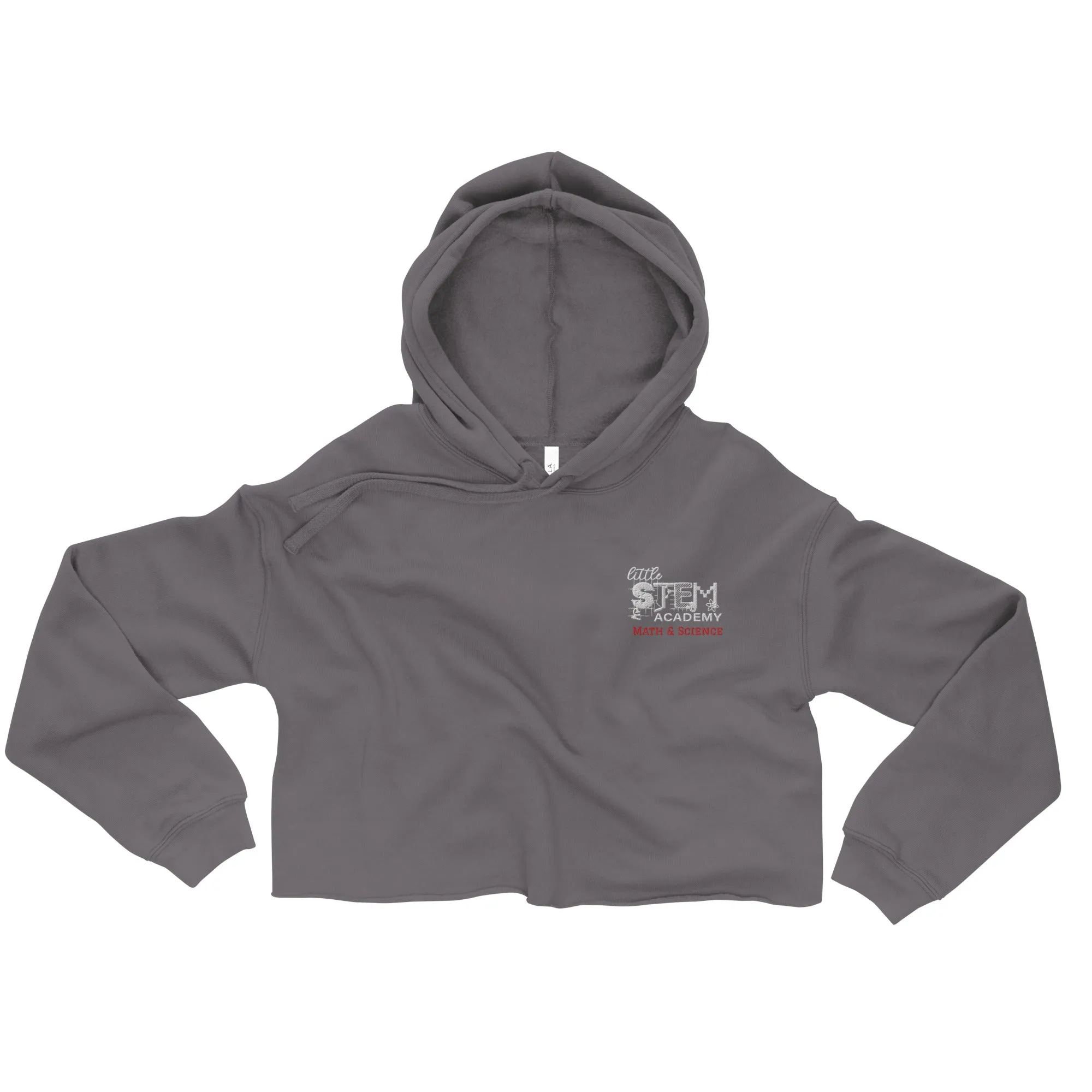 LITTLE STEM ACADEMY Crop Hoodie
