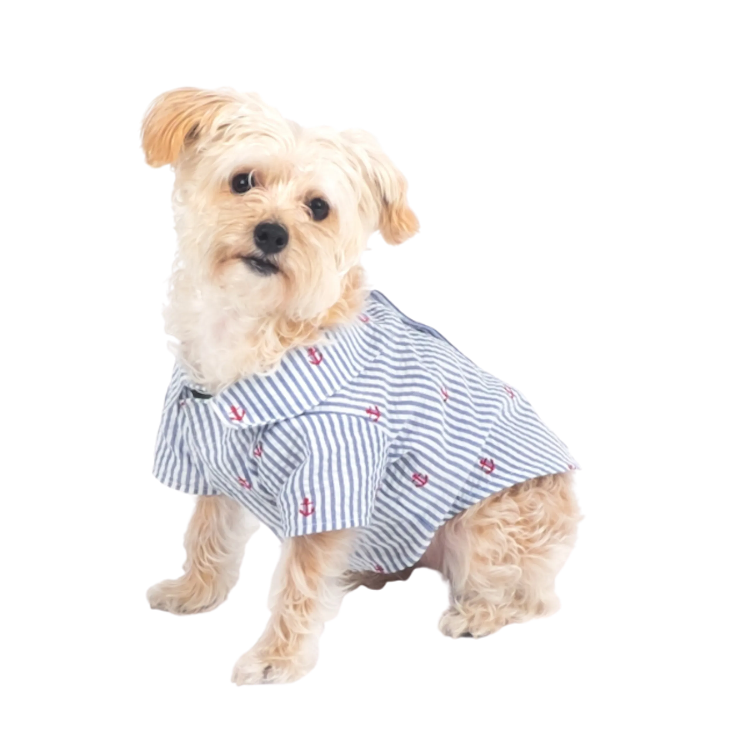 Shirt | Navy Stripe Anchors